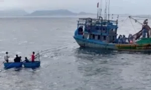 11 người được cứu khi tàu chìm gần đảo Lý Sơn