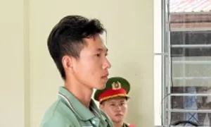 Trợ lý giám đốc 'dỏm' lừa hàng loạt người quen góp vốn 64 tỷ đồng